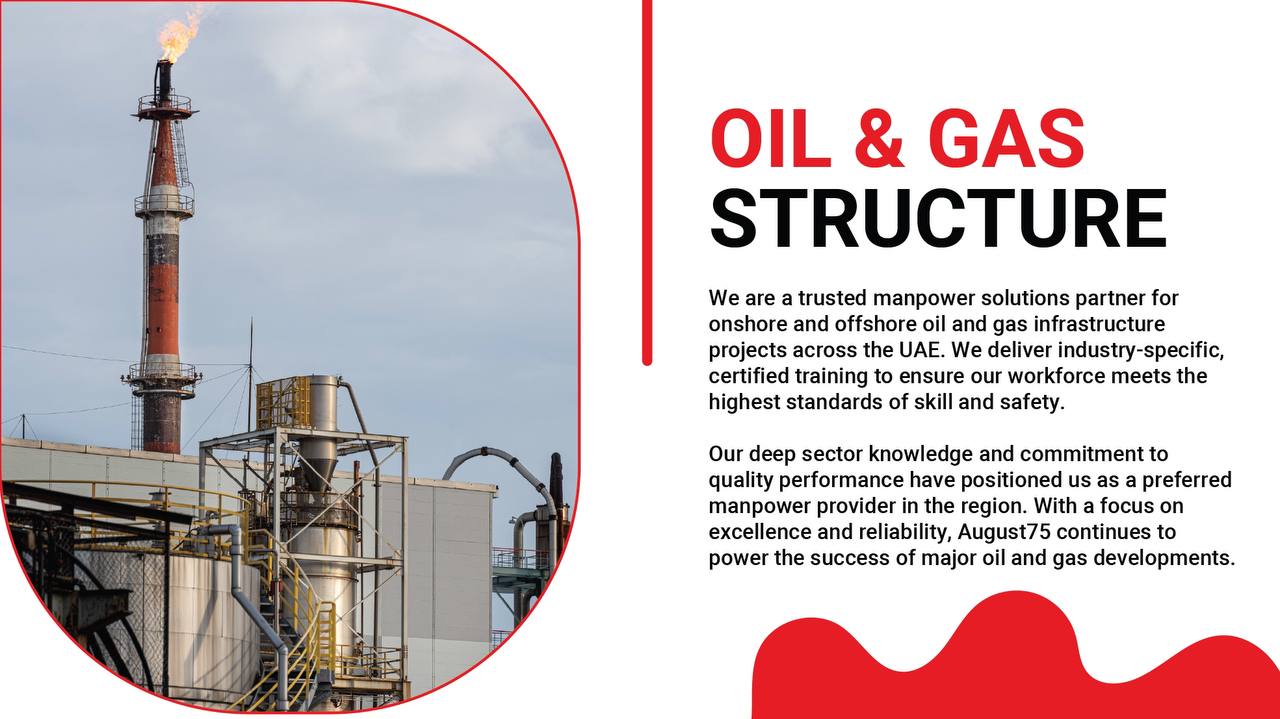 Oil and Gas Manpower Expertise